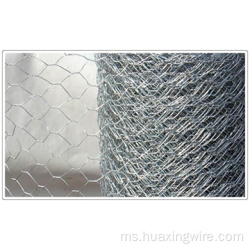 Galvnaized Hexagonal Chicken Mesh